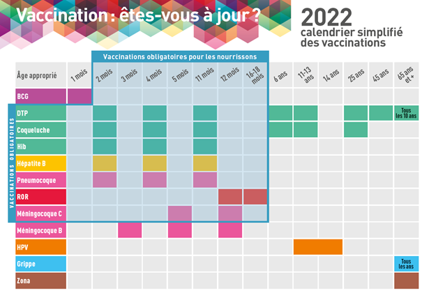 Vaccins Bébé Obligatoires : Calendrier Vaccinal | Nestlé Bébé